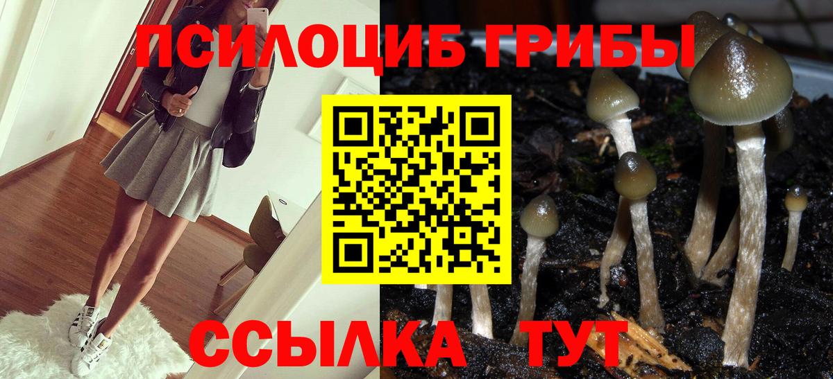 Галлюциногенные грибы MAGIC MUSHROOMS Алексеевка