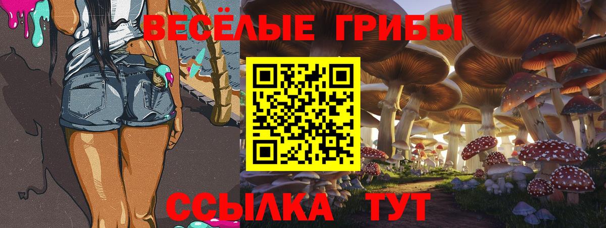 Галлюциногенные грибы MAGIC MUSHROOMS  купить наркотик  Вход с VPN  Алексеевка  Псилоцибиновые грибы MAGIC MUSHROOMS 
